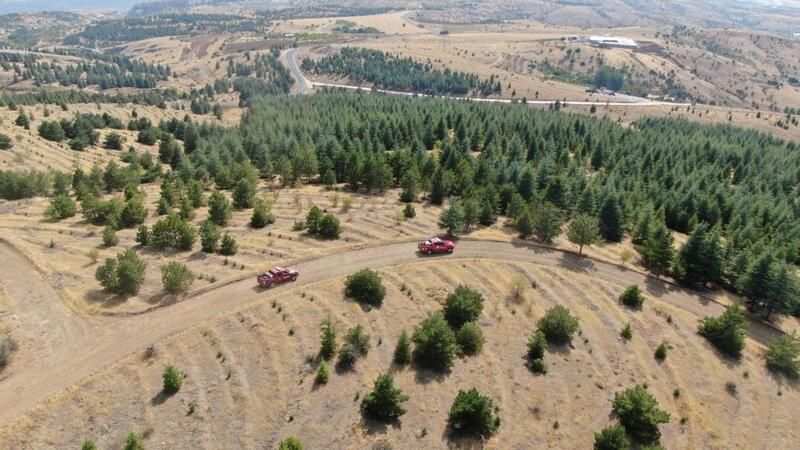 SULTANBEYLİ’DE ORMANLAR DRON DESTEKLİ DENETLENDİ